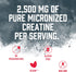 BioSteel Creatine Monohydrate Powder - 72 Servings, 180g, Micronized for Muscle Recovery & Lean Muscle, NSF for Sport Certified Creatine Powder...