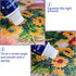 2-pack Diamond Painting Protectant Sealer Brightener(120ml*2), 8OZ Diamond Painting Accessories Glue for Diamond Painting and Puzzles, Diamond Art...