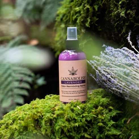 Cannabolish Lavender Smoke Odor Eliminator Spray and Air Freshener, 8 fl. oz, Natural Ingredients...