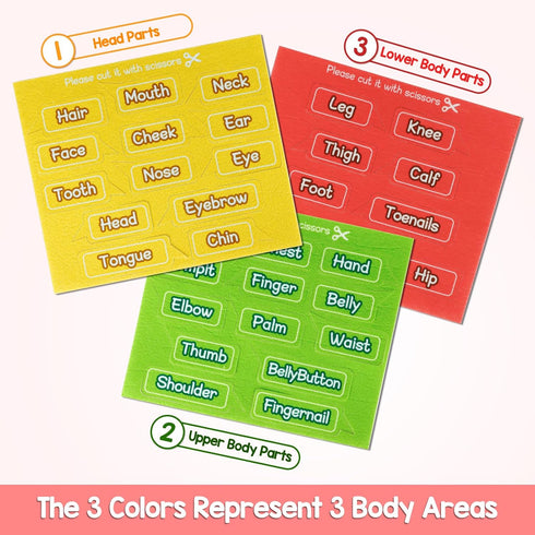 35 Pcs Body Parts for Kids Felt Board Set Preschool Learning Interactive Educational Human Teaching Storytelling Early Learning Play Kit Interacti...