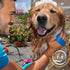 Dog Bath Brush - Silicone Grooming and Shedding Brush for Dogs & Cats, Puppy Essentials Dog Shampoo Brush, Pet Hair Removal Tool for Deep Clean & ...