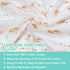 TL Care Fitted Crib Sheet 28" x 52", Soft Breathable Neutral 100% Cotton Jersey Sheet, Gold and Pink Feather, for Boys and Girls, Fits Crib and To...