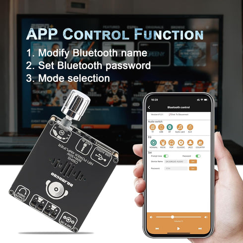 C50HS Bluetooth Amplifier Board TPA3116D2 HiFi Chip 12-24V DC Input,Support USB Sound Card/USB Flash Driver, AUX, Bluetooth Multiple Input Modes (...