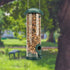 8 inch Green Seed Bird Feeder - 2 Perches, Bird Feeding Station, Seed Dispenser, Seed Silo for Wild Birds...