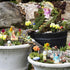 Jetec 10 Pieces Garden Miniatures Fairies Mini Garden Figurine Fairies Decor for Fairy Outdoor Garden Yard Home Decoration (Lovely Fairy)...