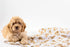Mud Pie Golden Doodle Print Baby Swaddle Blanket, 47" x 47",...