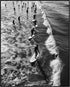 Posterizer 1 pcs-black and white vintage photo style art-surfing at the beach 4-Coastal & Nautical Art-Photography Art-Gift for Nature, Surfers an...