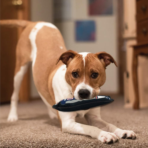 The 1st Ever Tough but Smooth Dog Toy NFL New England Patriots Football Athletes Player Tough Pet Toy. A Premium Quality Doggie Toy with Built-in ...
