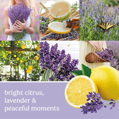 Yankee Candle Lemon Lavender Scented, Signature 20oz Large Jar 2-Wick Candle, Over 60 Hours of Burn Time...