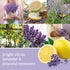 Yankee Candle Lemon Lavender Scented, Signature 20oz Large Jar 2-Wick Candle, Over 60 Hours of Burn Time...