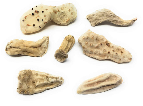 Whole Orris Root - 100% Iris Germanica - Iris Root Contains Essential Oils, Flavonoids And Is Used In Perfumes - Net Weight: 1.76oz / 50g...