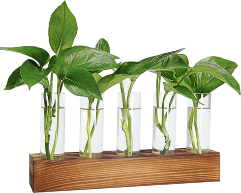 Plant Propagation Station, Plant Terrarium with Wooden Stand for Hydroponics Plants Office Decor Unique Gardening Gifts for Women Plant Lovers - 5...