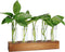 Plant Propagation Station, Plant Terrarium with Wooden Stand for Hydroponics Plants Office Decor Unique Gardening Gifts for Women Plant Lovers - 5...