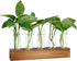 Plant Propagation Station, Plant Terrarium with Wooden Stand for Hydroponics Plants Office Decor Unique Gardening Gifts for Women Plant Lovers - 5...