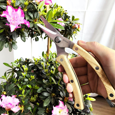 BUGUI 8" Straight Tip Garden Scissors - All Steel Construction with Wooden Handle Gardening Scissors, Premium SK-5 Blade Garden Shears Pruning She...