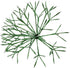 Alpine Corporation 16"H Indoor Holiday 3D Snowflake Hanging Ornament with LED Lights, Green , Christmas Decoration...