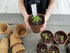 Daniel's Plants 4" Naked Pots | Large Natural Plantable Pots for Herbs Vegetables Tomato Seedlings | OMRI Biodegradable | Earth Friendly Contains ...