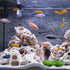 Cute Betta Fish Tank House with Cave Set, Small Mushroom Fish Aquarium Decor Pottery Hide Cave Habitat Hut for Betta Fish Passing or Hiding Safely...