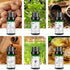 100% Pure Essential Oils Fall Spice Scented Oil 6x10ml for Candle Soap Slime Making Diffuser Home Aromatherapy Scents Gift Set Fennel Cinnamon Gin...