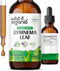Gymnema Tincture - Sugar-Free Gymnema Sylvestre Organic - Alcohol-Free Gymnema Liquid w/Antioxidants - Gurmar Gymnema Supplement - Vegan Gymnema H...