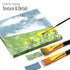 Plaid Learn to Paint Premium Brush Set, 50536 (10-Piece), 1-(Pack)...