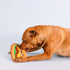 Fringe Studio Plush Dog Toy, Say Cheese!, Durable, Pet Shop Collection (729140)...