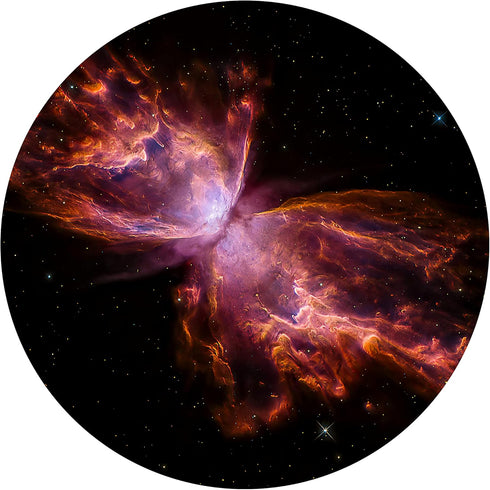 Orzorz Slide Discs Star Projector Galaxy Lite Home Planetarium Projector (Work Star Projector) (Butterfly Nebula)...