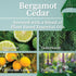 Hemlock Park Crackling Wood Wick Candle Handcrafted with Natural Coconut Wax (Standard 8 oz, Bergamot Cedar)...
