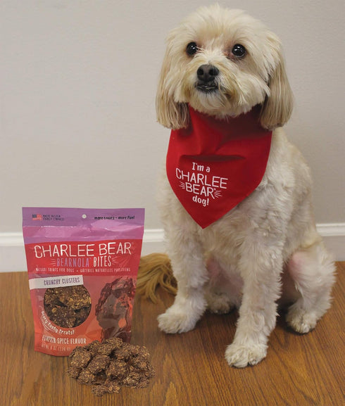 Charlee Bear Bearnola Bites Dog Treats, Pumpkin Spice Flavor, 8oz...
