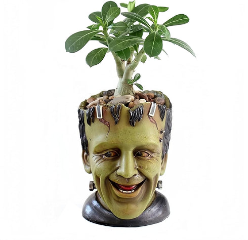Funny Planter Youfui Head Planter with Drainage Hole Resin Plant Pot Pencil Holder Desk Storage (Frankstein)...