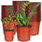 100 pcs 4-inch plastic plant nursery pots, reusable plant and flower nursery pots and starter pots (4-inch)...