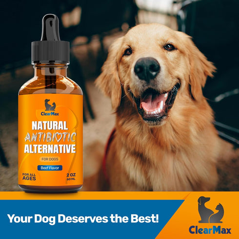Antibiotic for Dogs ? Dog Antibiotic ? Natural Antibiotics for Dogs ? Pet Antibiotic ? Dog Antibiotics with Beef Flavor ? 2 Oz...