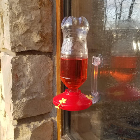 Gadjit Hummingbird Window Feeder, Fun Project for Kids at Home (Red)"...