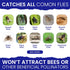 Fly Traps Outdoor Fly Traps. 4 Natural Pre-Baited Fly Bags Outdoor Disposable. Big Bag Fly Trap Bag Fly Catchers Outdoors. Stable Horse Ranch Fly ...