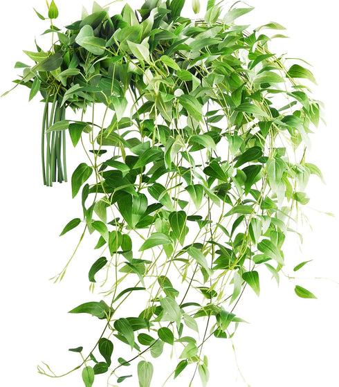 FiveSeasonStuff Versatile Decor Delight: Lush 28ft 10-Vine Set of Elegant Artificial Silk Clematis Leaves for Any Occasion or Event...