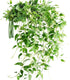 FiveSeasonStuff Versatile Decor Delight: Lush 28ft 10-Vine Set of Elegant Artificial Silk Clematis Leaves for Any Occasion or Event...