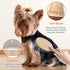 Dog Brush for Long Haired Dogs, Deshedding Dog Brush, 27mm Extra Long Pin Brush, Dog Grooming Brush for Shedding - Ash Wood Material, Non-Slip Rub...