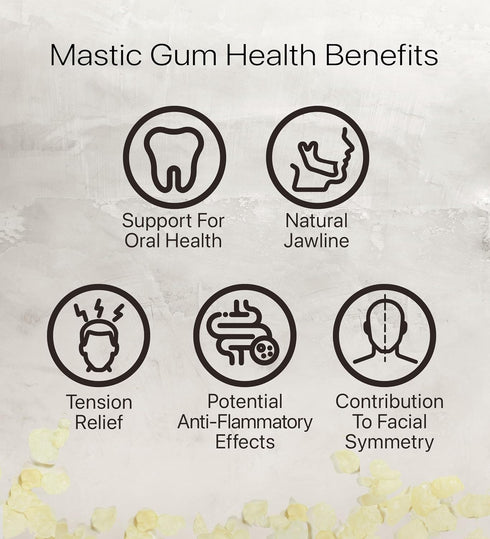 Cerez Pazari Natural Mastic Gum 0.88 oz (25g), Greek Chios Pure Resin, Sugarless Gum Made From Resin Of Mastiha Trees, Jaw Exerciser, Vegan, Non-G...