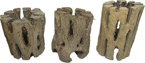 3 Natural Cholla Wood Air Plant Display Holders 2 inch Individually Unique Round Decorative Stands...