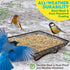 Gray Bunny Bird and Squirrel Feeder Tray 11x11 Inches, Cardinal Bird Feeder, Blue Jay Feeder, Squirrel Feeders for Outside, Wild Bird Feeders, Pla...