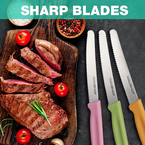 HAUSHOF Steak Knives Set of 4, Serrated Steak Knives, Premium Stainless Steel Steak Knife Set with Gift Box, Assorted Color...