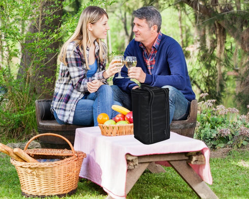 Vina 4 Bottle Wine Carrier - Travel Insulated Wine Carrying Case Cooler Tote Bag with Detachable Divider and Strong Handle, Great for Picnic, Beac...