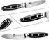 TUO Paring Knife 3.5 Inch - Ultra Sharp Peeling Knife - High Carbon Stainless Steel - Full Tang G10 Handle with Gift Box - Black Hawk S Series...
