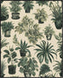 Posterizer 1 pcs-plants and pots-minimalist cute poster 2-Floral & Botanical Art-GIft for Men Women Teens-Living Room Bedroom Decor- unframed wall...