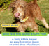 Native Pet Bone Broth for Dogs & Cats – Dog Bone Broth Powder, Dog Food Topper for Picky Eaters – Cat Broth & Dog Broth - Dog Gravy Topper for Dry...