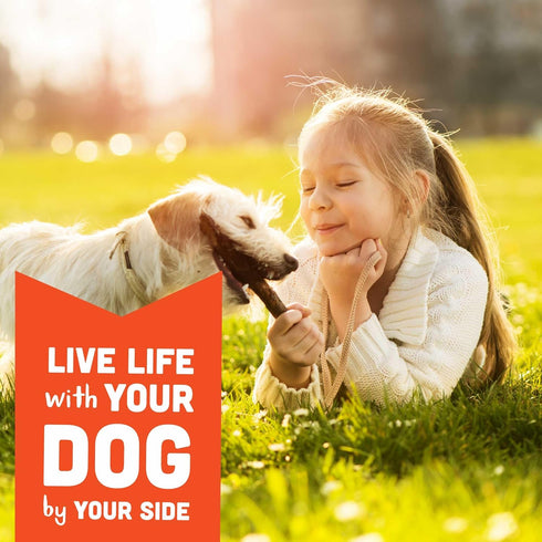 Cloud Star Corp, Wag More Bark Less Soft & Chewy Grain Free Peanut Butter & Apples Dog Treats...