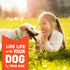 Cloud Star Corp, Wag More Bark Less Soft & Chewy Grain Free Peanut Butter & Apples Dog Treats...