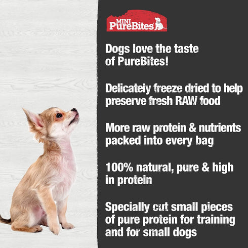 PureBites Mini Chicken Freeze Dried Dog Treats, 1 Ingredient, Made in USA, 2.1oz...