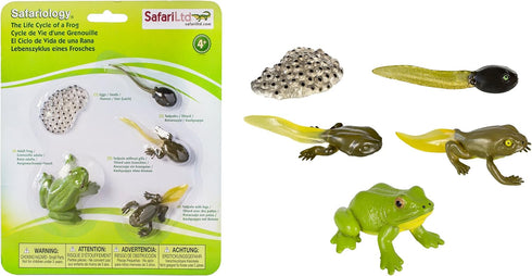 Safari Ltd. Life Cycle of a Frog Figurine Set - Miniature Educational Biology Toy for Boys, Girls, and Kids Ages 4+...