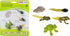 Safari Ltd. Life Cycle of a Frog Figurine Set - Miniature Educational Biology Toy for Boys, Girls, and Kids Ages 4+...